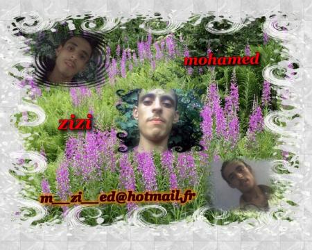 tjr  moi